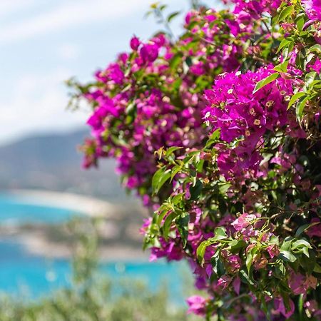 Villa Gianna Torre delle Stelle Εξωτερικό φωτογραφία